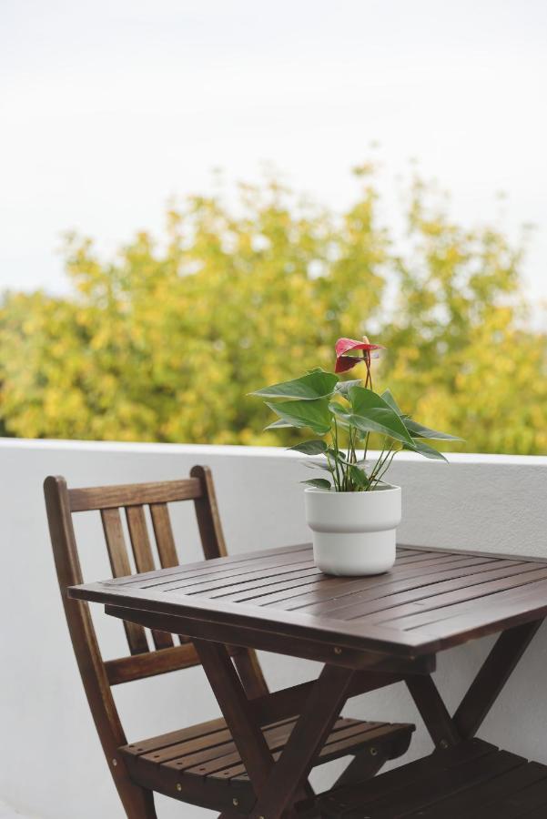 דירות פורטו Boavista Sunlit Duplex With Terrace מראה חיצוני תמונה